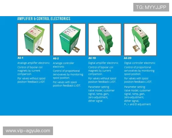 AG电子网站的支付方式多样化及快速提现流程详解